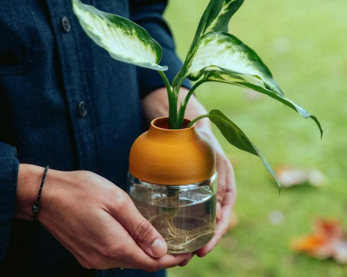 Guide pratique : Comment prendre soin de mon TOT' ?