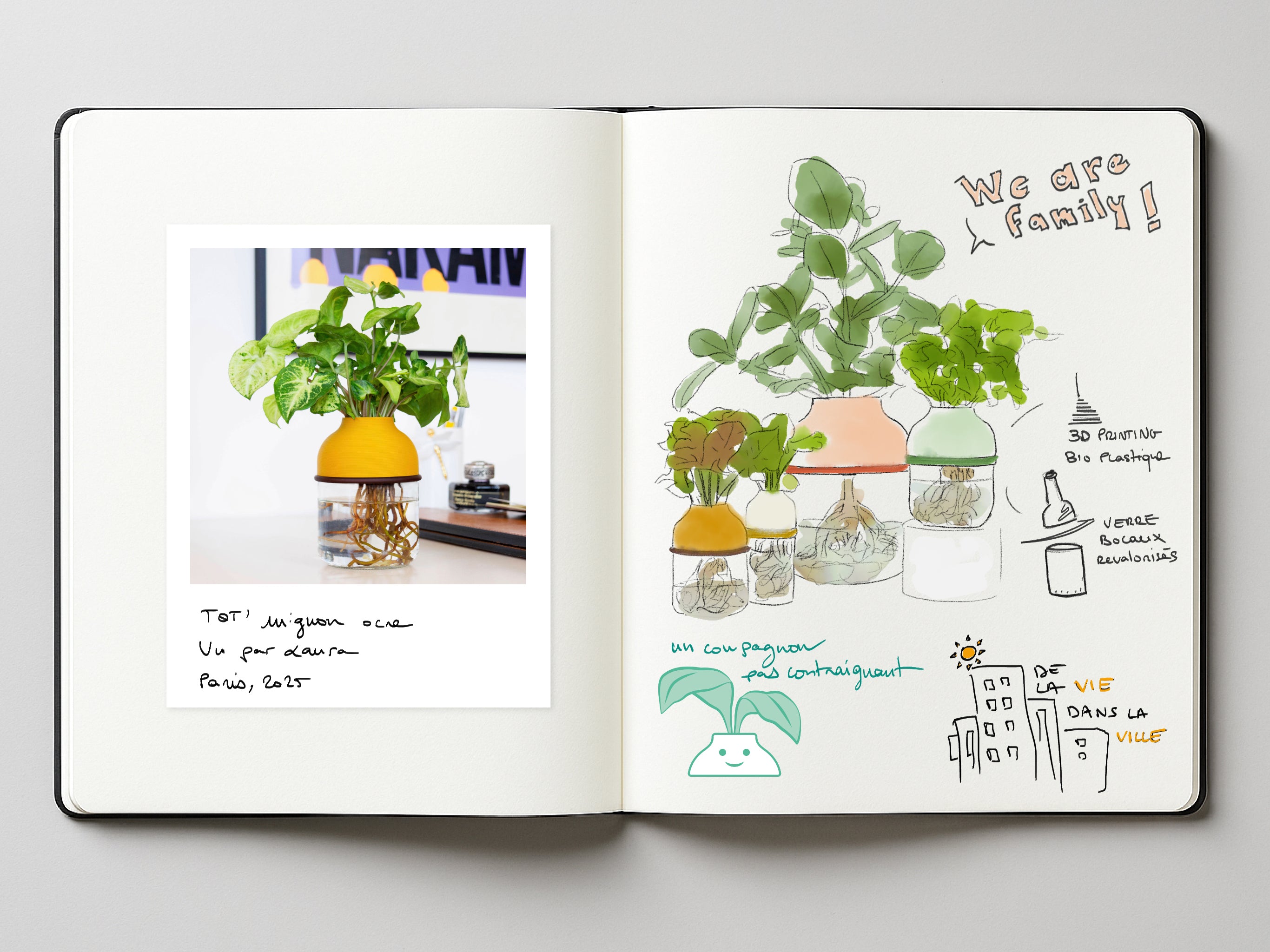 Carnet de Lucas de Rouvray montrant les dessin préparatoires des TOT' Plantes